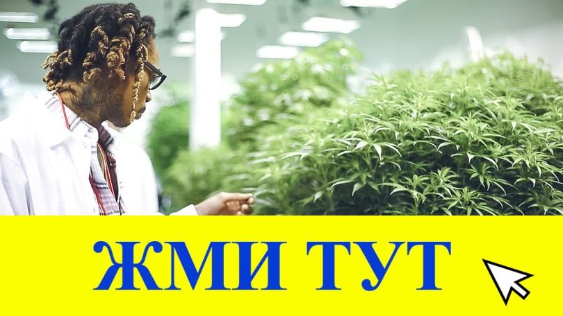 Купить наркотики в Рыбинске